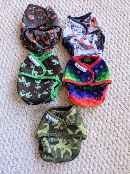 Best Bottoms Cloth Diaper Lot