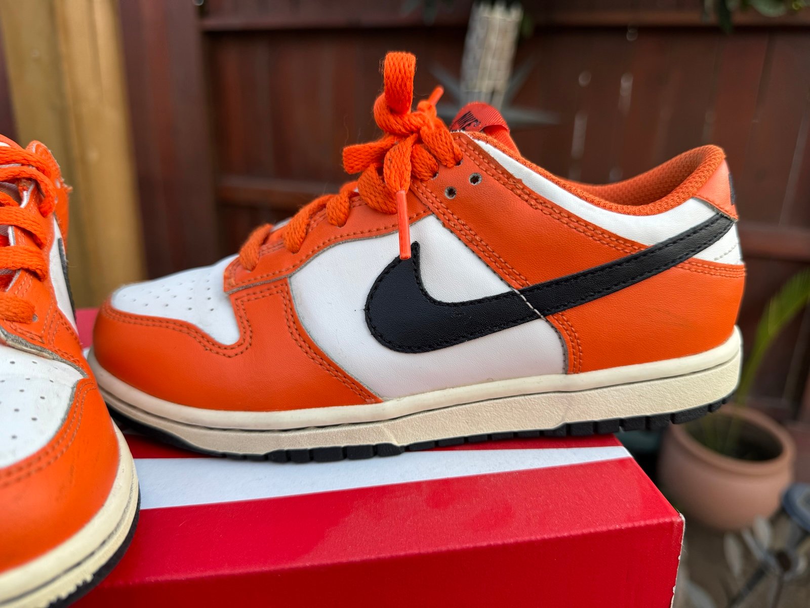 Dunk Low nike kids size 2.5y Boys