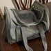 Pet carrier