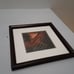 pictures