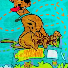 Scooby-Doo Blanket