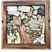 The Veterinarian Puzzle