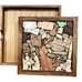 The Veterinarian Puzzle