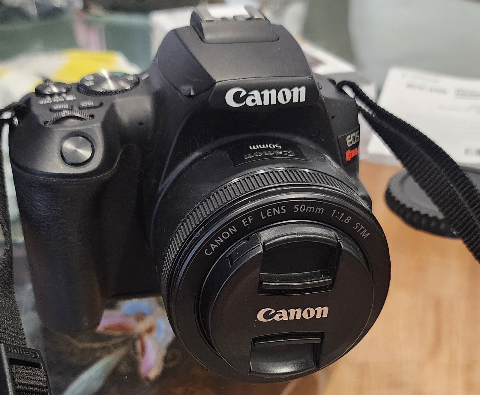 Canon EOS Rebel SL3 Camera & 50mm Lens
