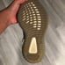 Yeezy Adidas Boost 350 V2