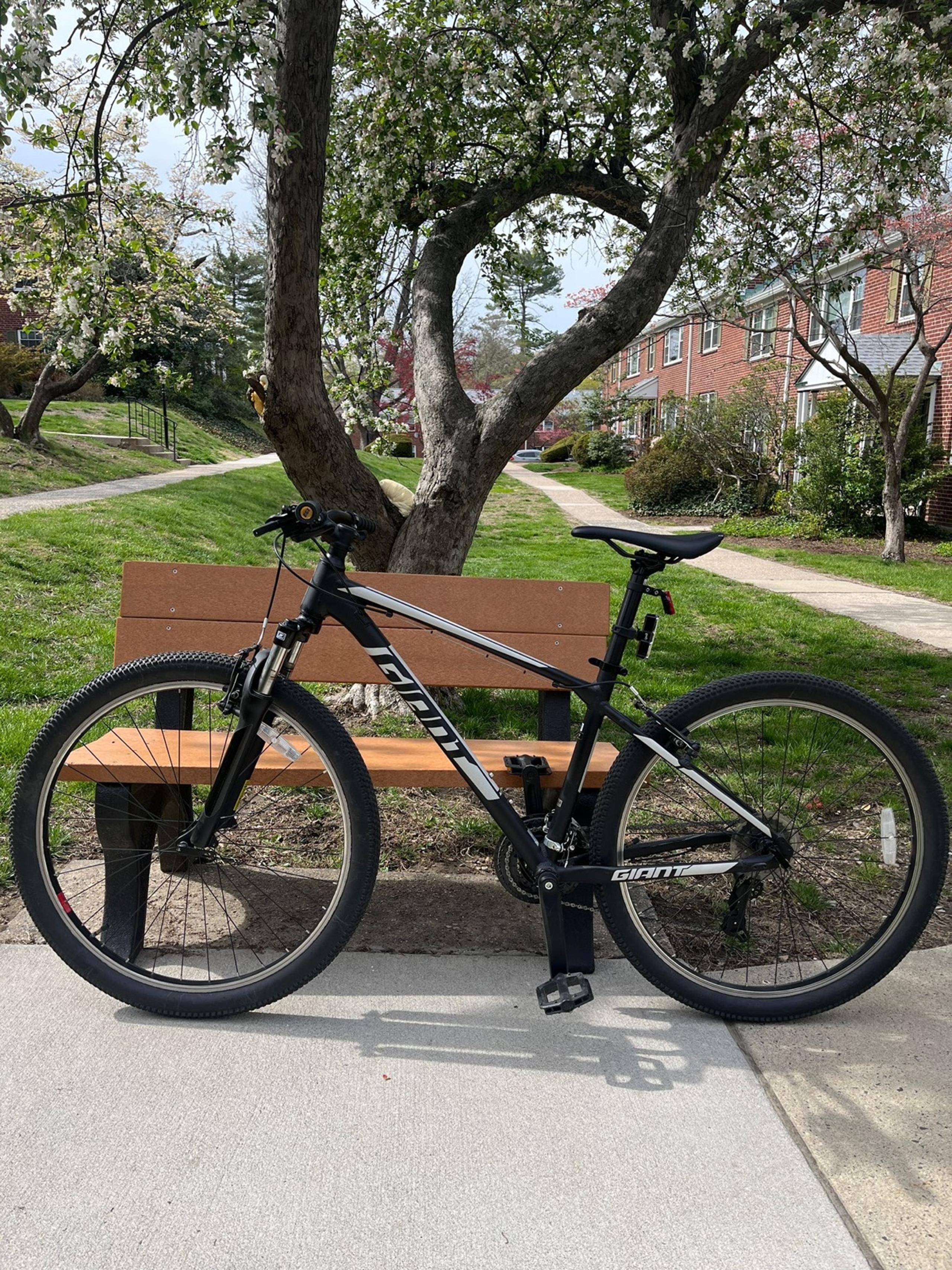 Giant bike.