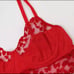Red Heart Garter Lingerie Set