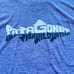 Patagonia Women’s Capilene Cool Daily Fishing Graphic Hoody Blue Size Large