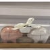 Rae Dunn pig salt and pepper shaker