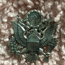 Sterling eagle pin
