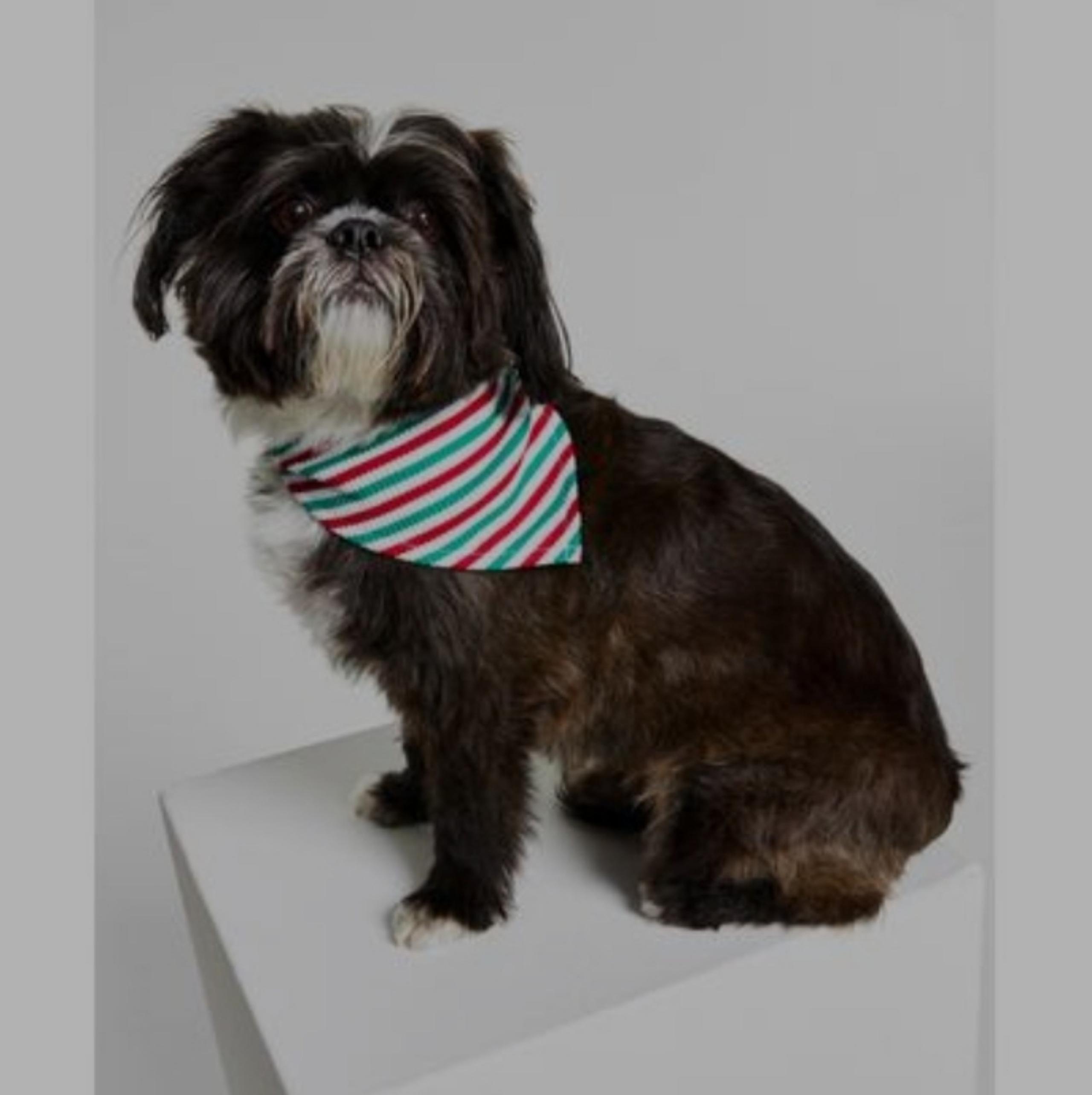 Matching Pet Thermal Waffle Holiday Stripe Bandana L/XL
