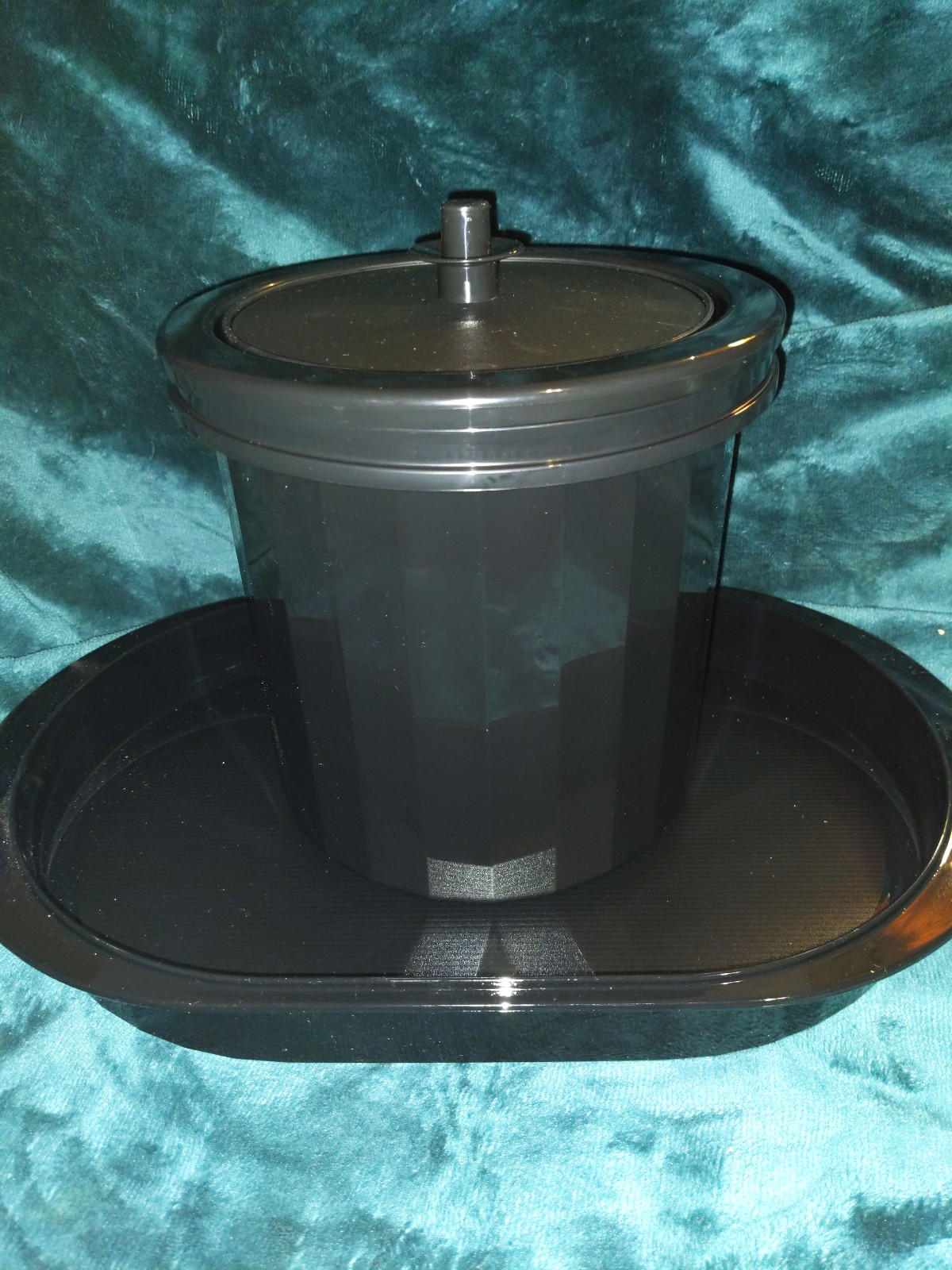 Tupperware Tray and double wall container