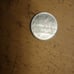 1956 Italian 100 Lira Coin (Very Rare)