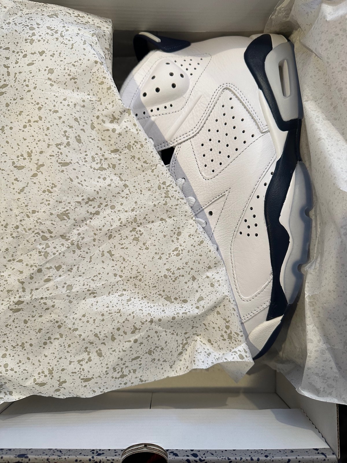 Nike Air Jordan 6 Retro Shoes