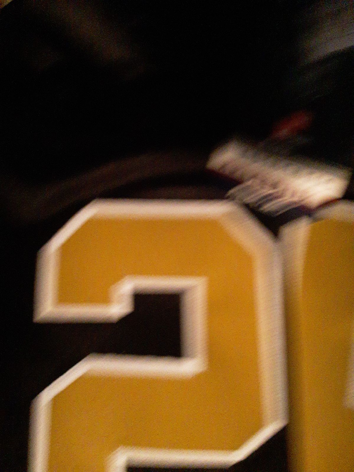 #25 Reggie Bush Saints jersey