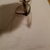 DIVA 5367 EYEGLASS