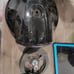 HD Stock Clam Shell Air Cleaner for 110