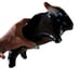 MCM Bull Pipe and Tobacco Holder