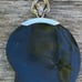Plastic Nautilus Shell Pendant w/Sterling Silver Hardware on a 925 Chain. EUC!