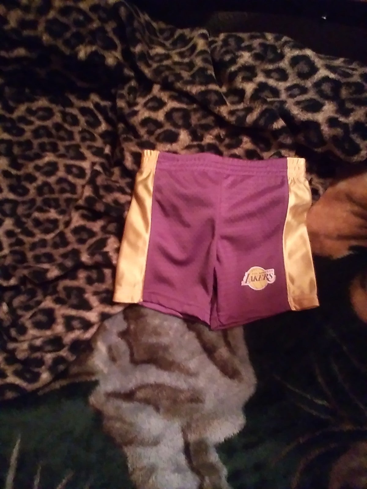 Authentic Lakers team shorts (toddler)