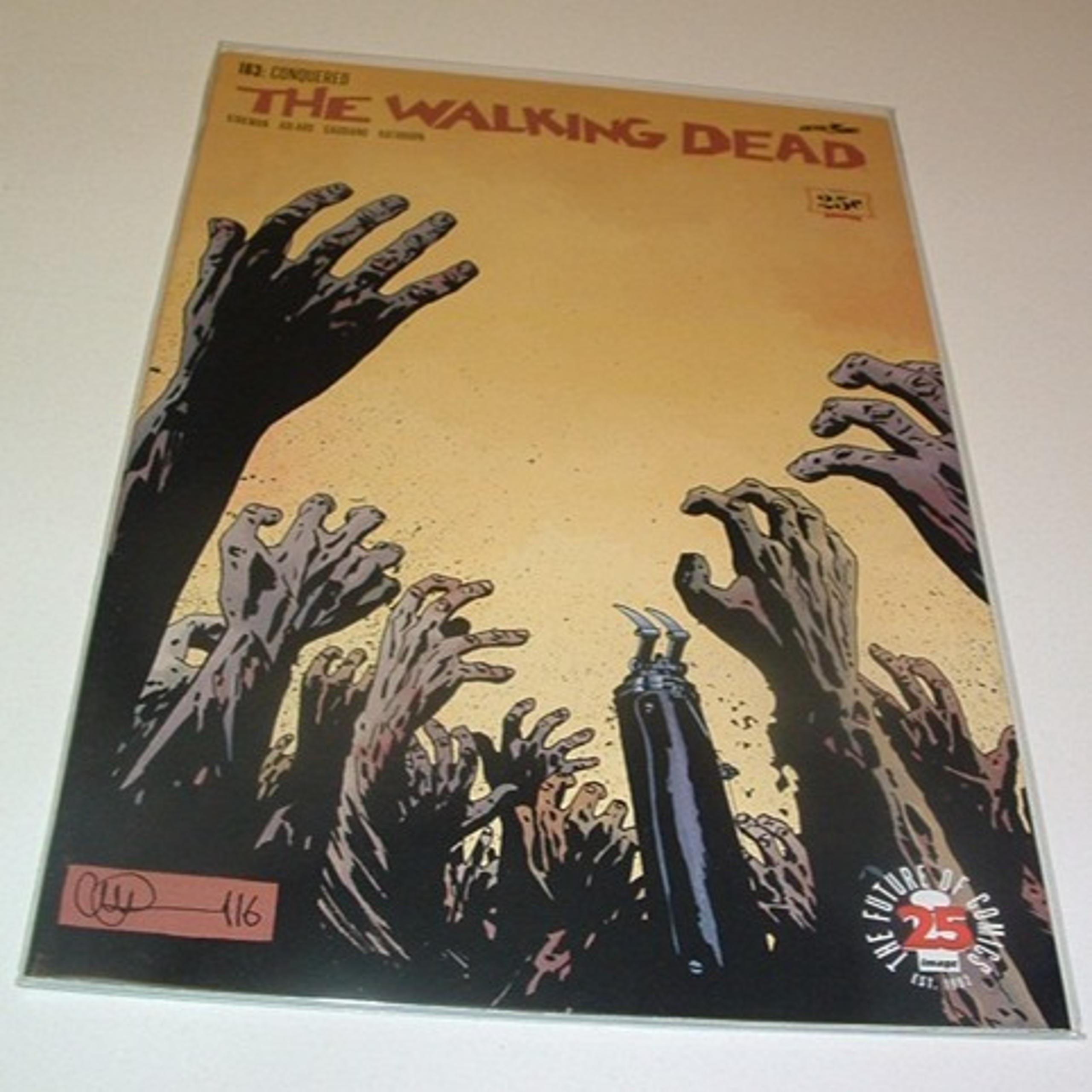 The Walking Dead #163 - First Print - Robert Kirkham - Image Comics - NM