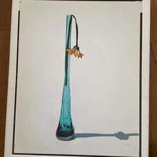 Flowers / Yoshihiko Ueda Photography Collection