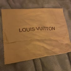 Louis vuitton large pocket dust bag in tan