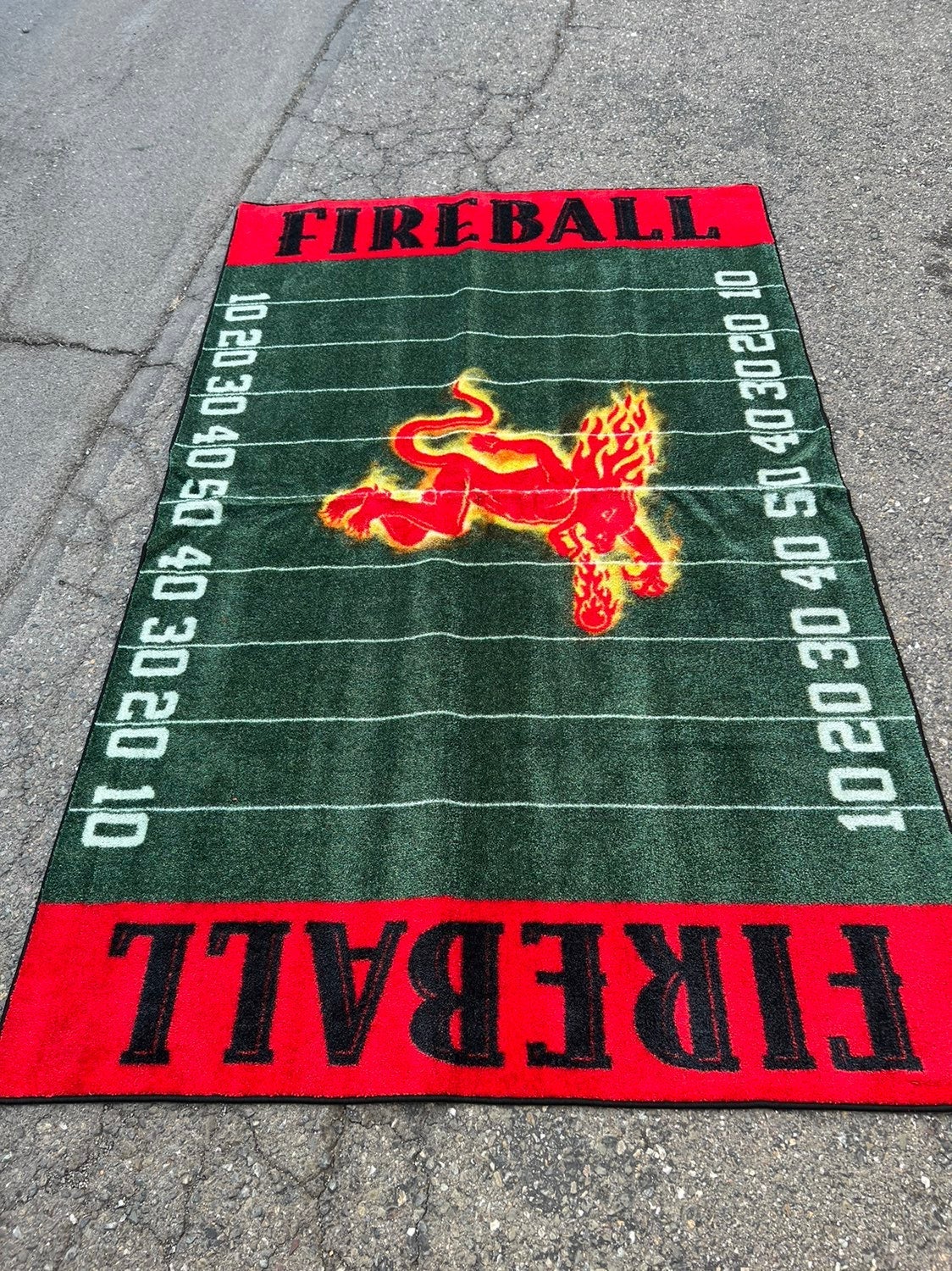Fireball 8x5 area rug