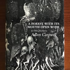 A Forest with its Mouth Wide Open and Other Stories (LE of 200) BRAND NEW