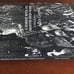 A Forest with its Mouth Wide Open and Other Stories (LE of 200) BRAND NEW