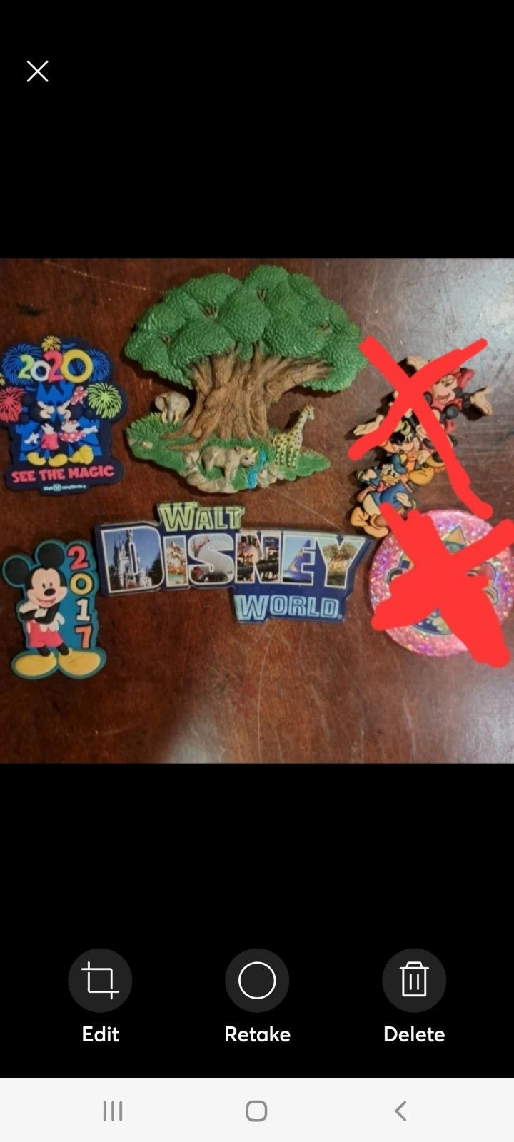 Disney World Magnets Bundle (4 Magnets)
