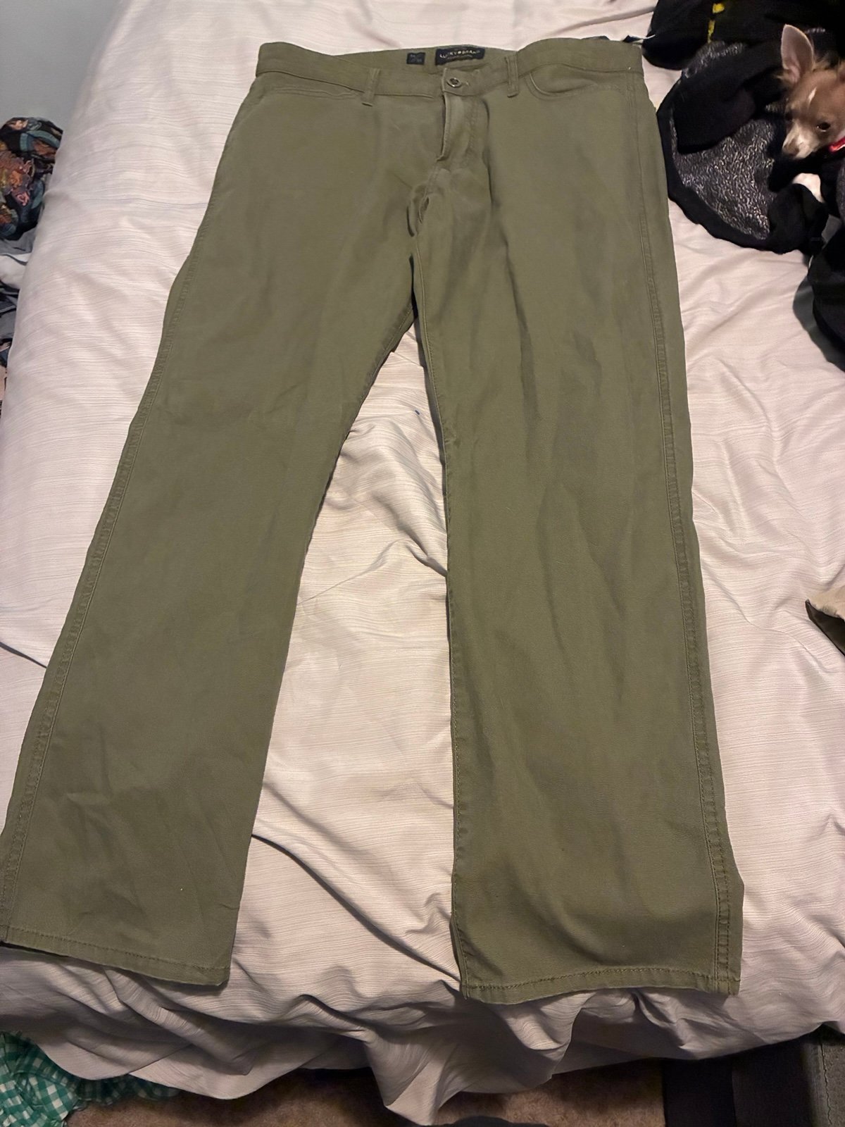 Dress pants