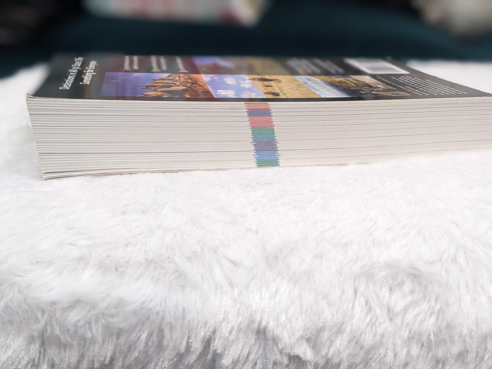 Guide to State parks of the United States