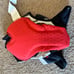 Castelli Competizione cycling bib shorts (large)