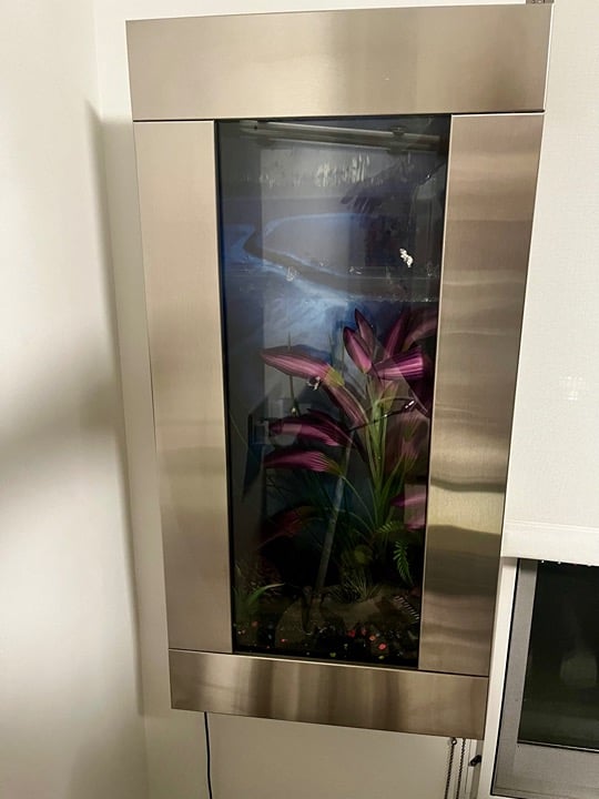 Wall mounted fish tanks