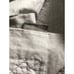 LEVTEX HOME Two Euro Shams linen and cotton size 26 x26