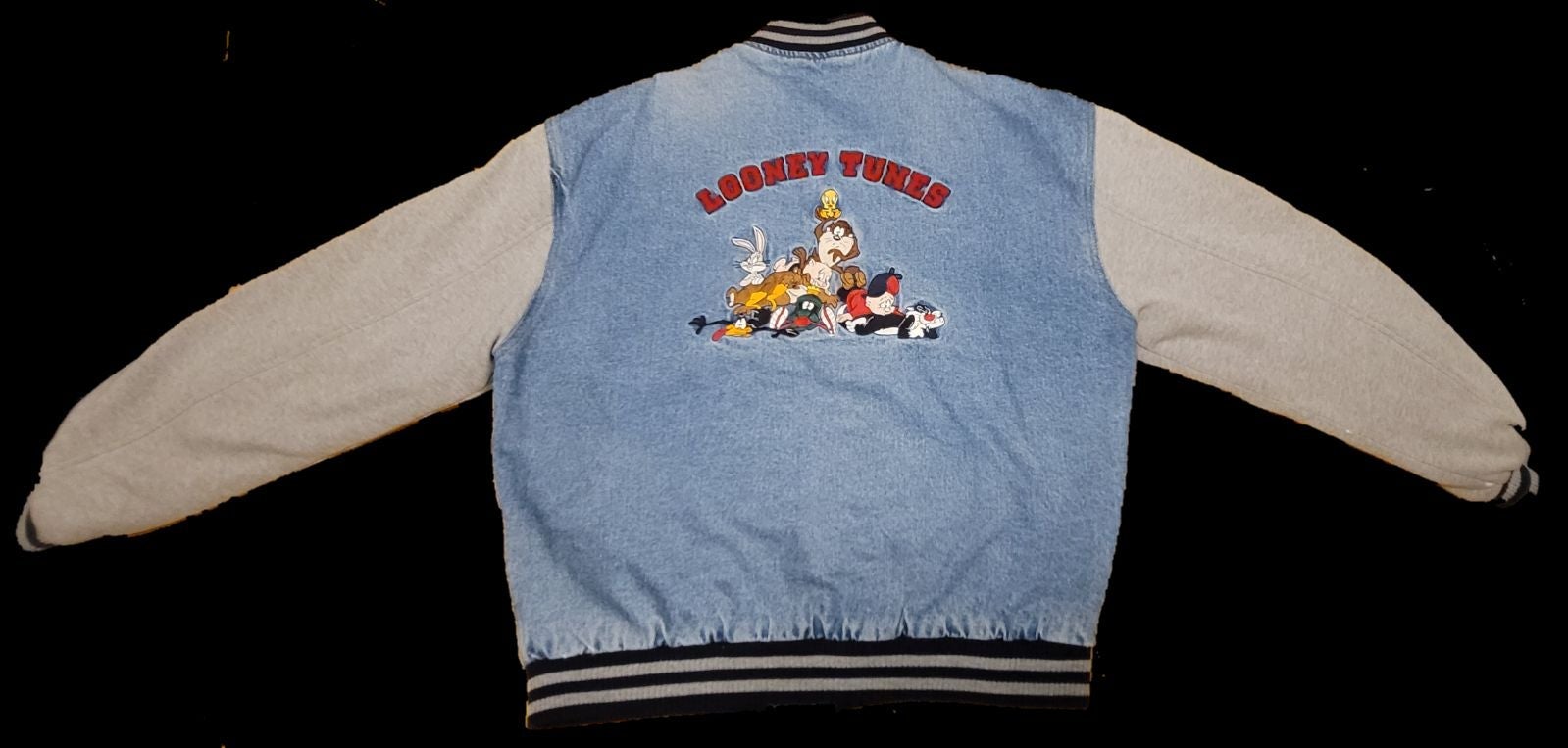 1997 Vintage Looney Tunes Warner Bros Denim Jacket!