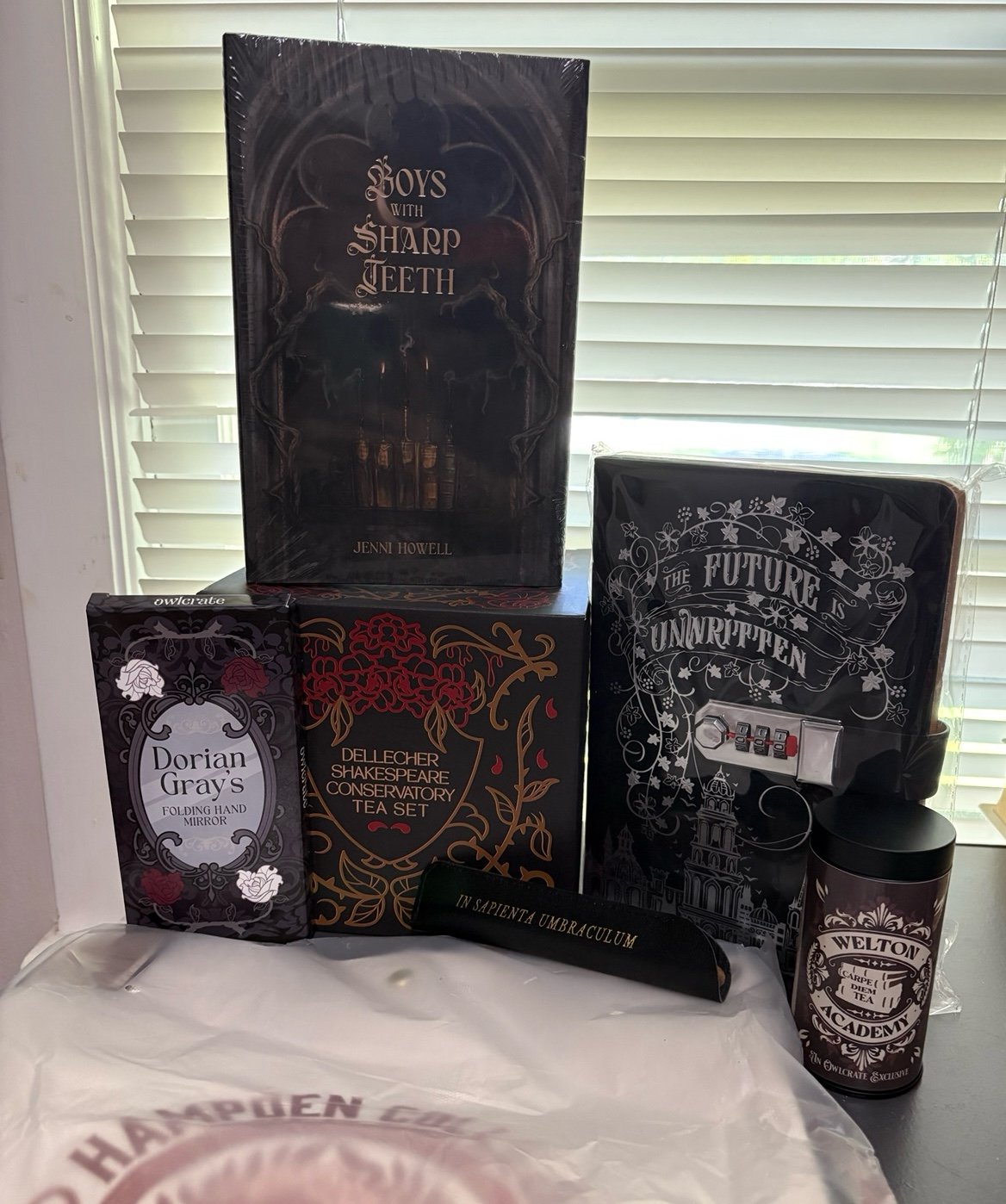 OwlCrate Dark Academia Full Box w/ Boys With Sharp Teeth and all items