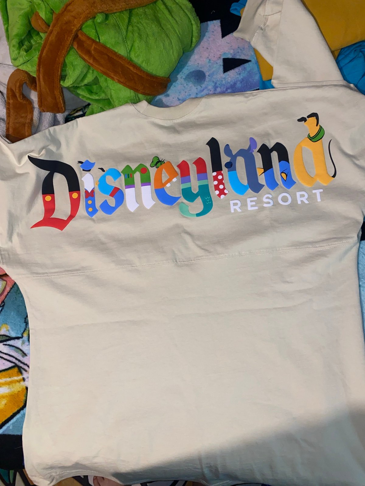 Disneyland Spirit Jersey L