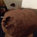 Handmade clay sculpture