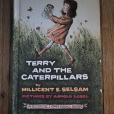 1962 1st ed. Terry and the caterpillars Book HC Millicent Selsam