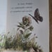 1962 1st ed. Terry and the caterpillars Book HC Millicent Selsam