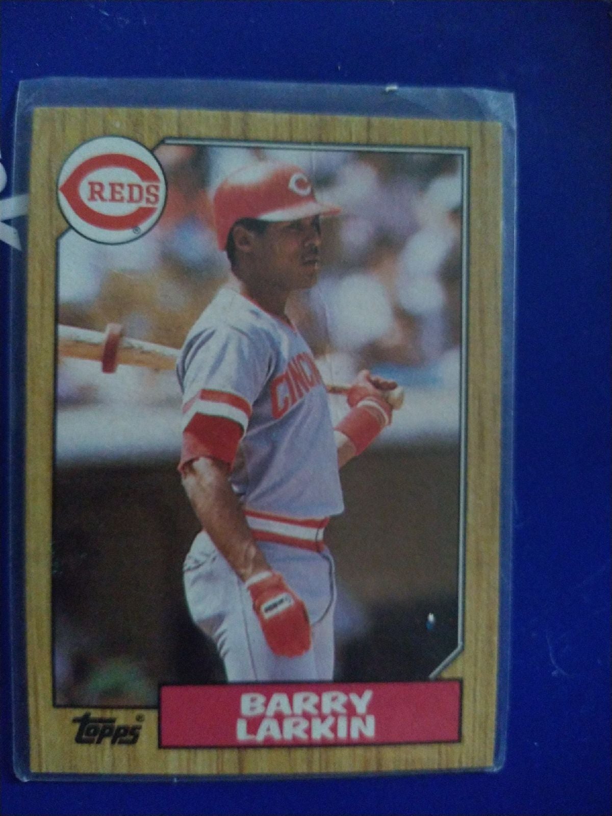 Topps
