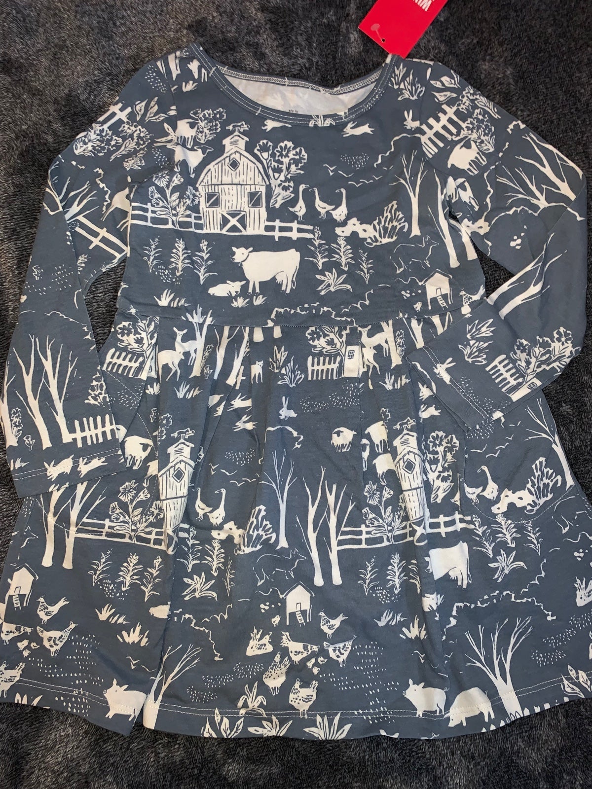 NWT Winter Water Factory Madison The Farm Next door  Dress 4