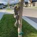 Climbing Squirrel Figurine - Garden Decor for Outside, Yard Art Squirrel