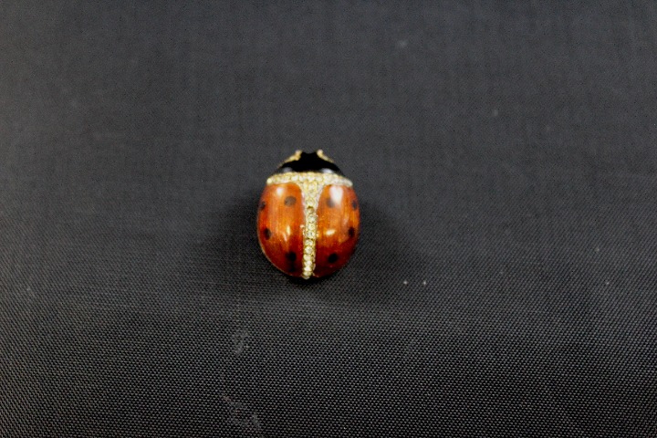 Sterling Silver Vermeil gold plate black and red enamel Lady Bug pendant charm