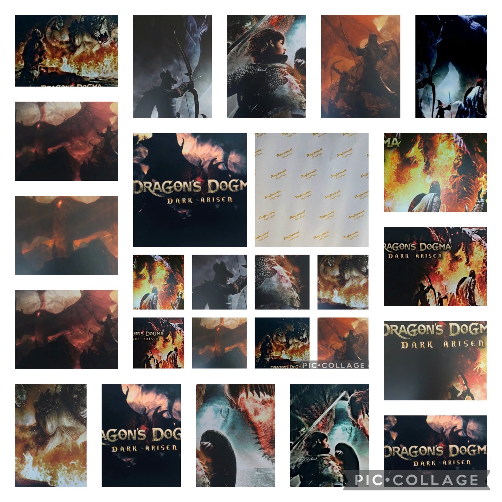 Dragon’s Dagma Dark Arisen 7 Prints