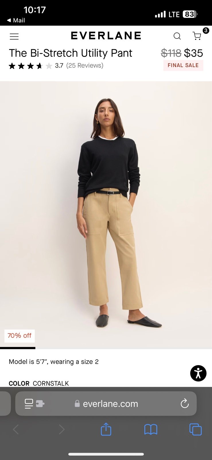 Everlane Bi-stretch pants