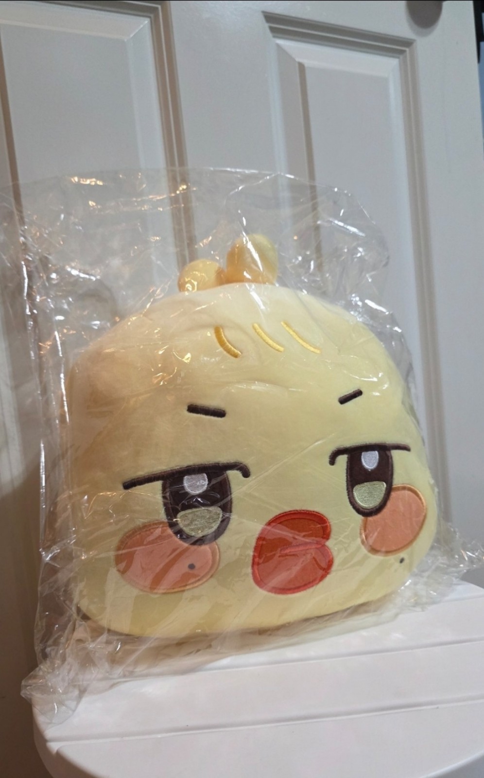 Ateez Aniteez in Treasure Face Cushion - Bbyongming Mingi