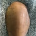 Horn Spoon 19th Century Native American HTF Antique